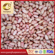 Virginia Jumbo Peanuts Peanut Kernels Wholesale Price